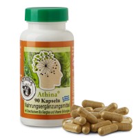 Athina® Griechisches Eisenkraut B Komplex Bergtee Kapseln. 90 vegane Kapseln. PREMIUM