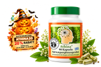 Athina® Griechisches Eisenkraut B Komplex Bergtee Kapseln. 90 vegane Kapseln. PREMIUM