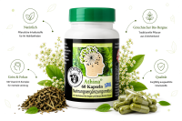 Athina® Griechisches Eisenkraut Bacopa Monnieri & Ginkgo Biloba. 60 Bergtee Kapseln. PREMIUM